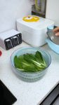 Elite Salad Spinner