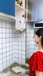 360 Rotating with 6 Grid Grain Dispenser