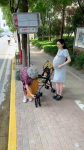 Mini Portable Folding Stool